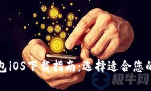 TP钱包iOS下载指南：选择适合您的版本