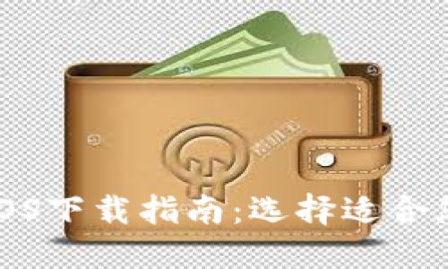 TP钱包iOS下载指南：选择适合您的版本