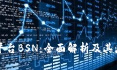 区块链平台BSN：全面解析