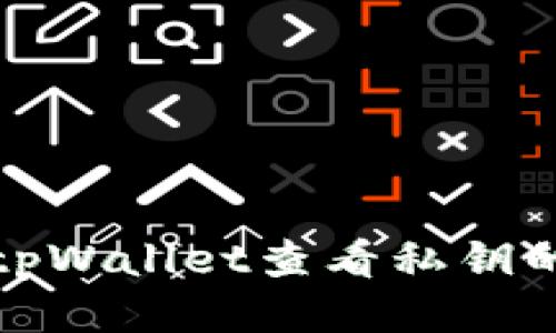 如何通过tpWallet查看私钥的登录状态