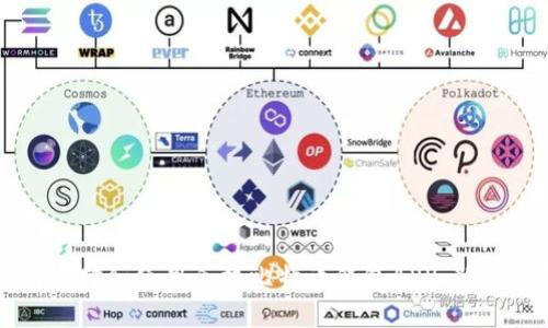 如何选择和使用手机比特币钱包APP：新手指南