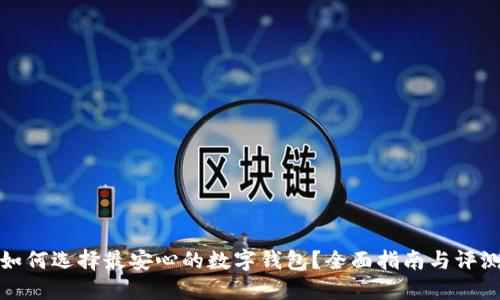 如何选择最安心的数字钱包？全面指南与评测