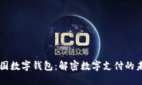 中国数字钱包：解密数字支付的未来