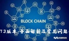 TP钱包173版本：全面解析及