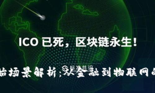 区块链原始场景解析：从金融到物联网的应用革新