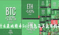 什么是比特币Solo钱包及其