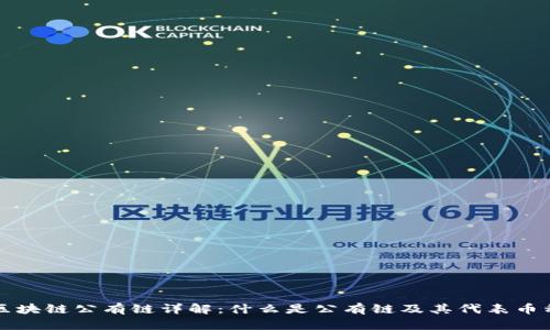 区块链公有链详解：什么是公有链及其代表币种