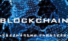 如何查看虚拟币钱包地址