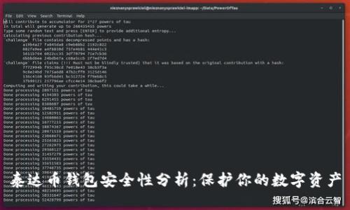 泰达币钱包安全性分析：保护你的数字资产