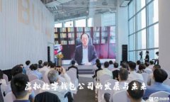 虚拟数字钱包公司的发展