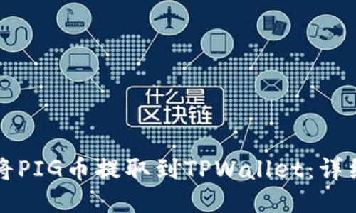 如何将PIG币提取到TPWallet：详细指南
