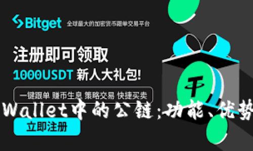 理解tpWallet中的公链：功能、优势及应用