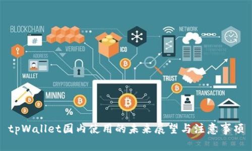 tpWallet国内使用的未来展望与注意事项