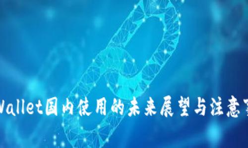 tpWallet国内使用的未来展望与注意事项