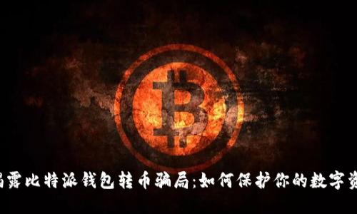  揭露比特派钱包转币骗局：如何保护你的数字资产