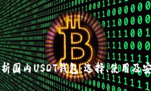 全面解析国内USDT钱包：选择、使用及安全指南