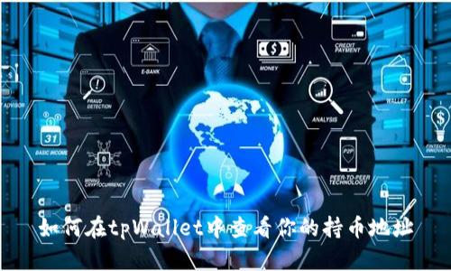如何在tpWallet中查看你的持币地址