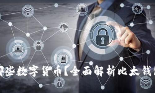 比太钱包支持哪些数字货币？全面解析比太钱包的功能与优势