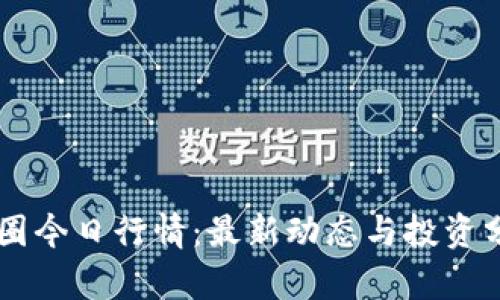 币圈今日行情：最新动态与投资分析