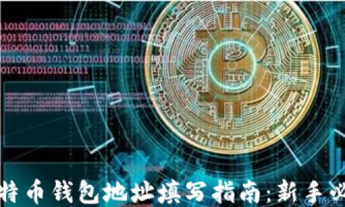 
比特币钱包地址填写指南：新手必读