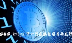 ### KrSys：下一代区块链项