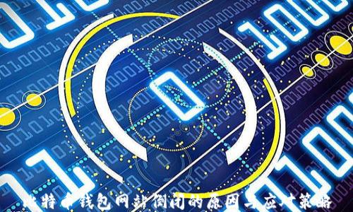 
比特币钱包网站倒闭的原因与应对策略