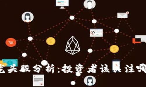 区块链龙头股分析：投资者该关注哪些股票？