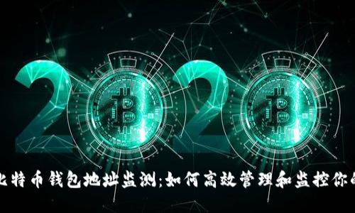 全面了解比特币钱包地址监测：如何高效管理和监控你的数字资产