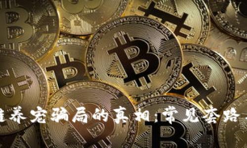 揭开区块链养宠骗局的真相：常见套路与防范方法