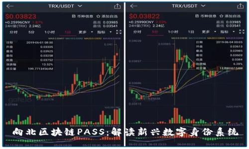 向北区块链PASS：解读新兴数字身份系统