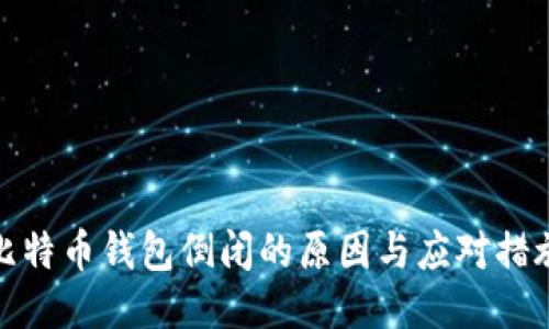 比特币钱包倒闭的原因与应对措施
