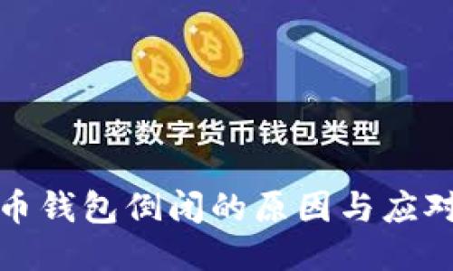 比特币钱包倒闭的原因与应对措施