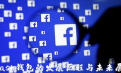 Kcash钱包的发展历程与未来展望