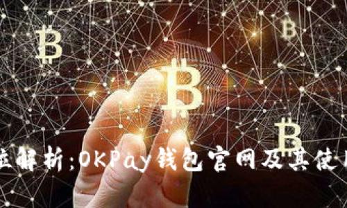 全方位解析：OKPay钱包官网及其使用指南
