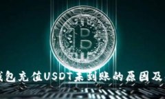 解析TP钱包充值USDT未到账的原因及解决