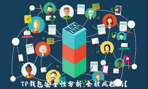 
TP钱包安全性分析：会被风控吗？